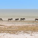 NAM OSHI Etosha 2016NOV27 061 : 2016, 2016 - African Adventures, Africa, Date, Etosha National Park, Month, Namibia, November, Oshikoto, Places, Southern, Trips, Year